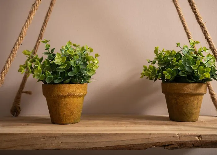 Apartment Halepa Luxury